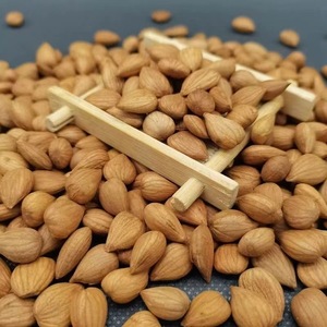 Bán Buôn Hữu Cơ Hạnh Nhân Ngon Khỏe Mạnh Nguyên Hạt Trong Số Lượng Lớn Hương Vị Ngọt Ngào Với Kết Cấu Cứng Đóng Gói Chai Lấy Cảm Hứng Hạt - Product Image 5