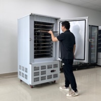 Congélateur-plaque intégré en acier inoxydable AISI 304 avec refroidissement par ventilateur à air forcé, 10 niveaux de rayonnages, -40°C, vente en gros