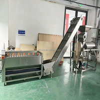 Hoge Efficiëntie Mango Ananas Sapcentrifuge Machine Passievrucht Guave Kokosnoot Fruitpulp Maker Machine Fruit Sap Productielijn