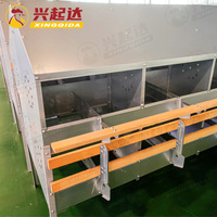 Nouveau nid de ponte de poulets automatique galvanisé à chaud avec collecte d'œufs Marque Xingqida Garantie 1 an 40kg