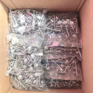 Clavos de Acero al Carbono Galvanizado BWG9 para el Mercado Sudamericano con Arandela de Goma, Clavos para Techos Tipo Paraguas con Vástago Liso/Trenzado - Product Image 3