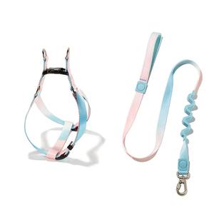 Set di collare per animali domestici in lega di lusso personalizzato e poliestere guinzaglio per cani a prova di esplosione con motivi di stampa di lusso - Product Image 5