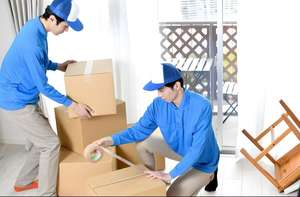 通过SHY承运商提供海运和空运门到门服务，运送到荷兰和德国，采用混载+快递运输（50-60天运输） - Product Image 6