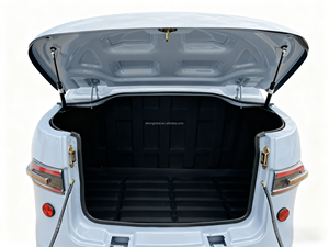 Tricycle électrique ELION YU3 certifié EEC 60V à 3 roues pour adultes, usage passagers, avec carrosserie fermée et grande capacité de charge - Product Image 4