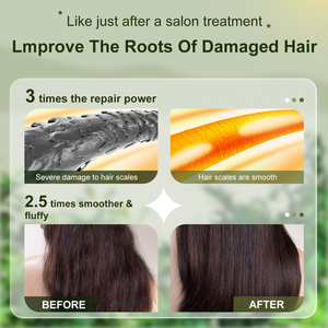 Shampoo et revitalisant éclaircissant à l'aloe vera, label privé, <span class=keywords><strong>cheveux</strong></span> noirs, antipelliculaire et anti-<span class=keywords><strong>démangeaisons</strong></span>, croissance des <span class=keywords><strong>cheveux</strong></span>, organique, clair - Product Image 5