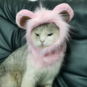 Yüksek kalite özel cadılar bayramı Pet kostümleri rahat Polyester malzemeler benzersiz dayanıklı baskı kalıcı komik yaz bahar - Product Image 2