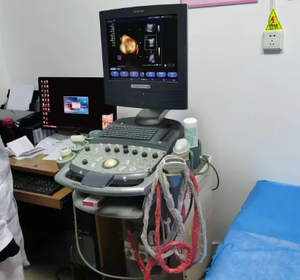 Sondas de Ultrasonido L4-12t-RS Electrónicas de Alta Precisión con Protección IP55, Personalización OEM para Venta y Servicios de Reparación - Product Image 1