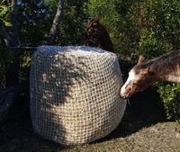 Sac à foin suspendu à alimentation lente avec mailles carrées en nylon, PE, PP, résistant au vent, respirant, imperméable, service de découpe