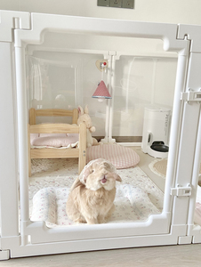 Nhựa Trong Suốt Cổ Điển Hiện Đại Con Chó Lồng Nút Đóng Cửa Thiết Kế Rắn Cho Vừa/Nhỏ Chó-Sinh Thái Thân Thiện Với Vật Nuôi Bao Vây - Product Image 6