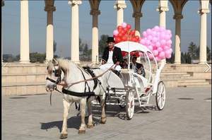 नई अमेरिकी शादी सिंड्रेला गाड़ी/पर्यटक आउटडोर हार्स-खींचा गाड़ी/रॉयल घोड़ा छोटी गाड़ी - Product Image 5