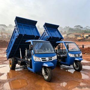 Tricycle diesel à 3 roues haute performance pour le transport de marchandises, le jardinage et l'agriculture, tricycle motorisé - Product Image 3