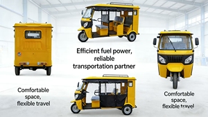 Tuk-Tuk à trois roues à carrosserie ouverte pour passagers, certifié 3C, 50 km/h - Product Image 4