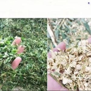 Động vật Điện gia súc thức ăn Ủ Chua Máy Điều kiện Mới Xăng DIESEL thức ăn gia súc cắt cỏ Chopper chaff Cutter cho trang trại động cơ - Product Image 6