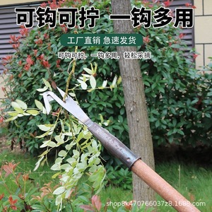 V Shaped Fruit Picking Hooks Carbon Steel Manual Longan Toon Harvesting Tools - Product Image 2
