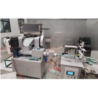 Ligne de fabrication de savon numérique entièrement automatique multi-tension à petite échelle, capacité de 200 kg, avec machine de découpe et d'estampage, garantie de 2 ans