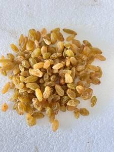 Raisins secs indiens Thompson sans pépins, 12-18 mm, séchés au soleil, en vrac, pour la boulangerie et la transformation alimentaire - Product Image 4