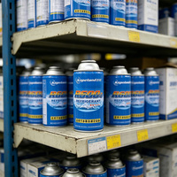 Gaz réfrigérant AmbCoya R600A en conserve de qualité supérieure, services OEM, 200g, pureté stable à 99,9%, GWP 3, pour réfrigérateur et congélateur