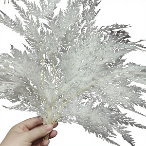 Букет из вечных цветов «Снежинка-Папоротник», элитный букет из натуральных цветов, материал для DIY, украшение на день рождения, подарочная коробка, стеклянная крышка, Китай, легкий - Product Image 1