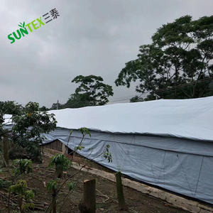 Film de <span class=keywords><strong>serre</strong></span> tissé noir et blanc en HDPE avec protection <span class=keywords><strong>anti</strong></span>-<span class=keywords><strong>UV</strong></span>, bâche imperméable <span class=keywords><strong>pour</strong></span> la plantation - Product Image 5