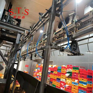 Полностью автоматическая машина для сортировки куриных туш онлайн-взвешивания и распределения курицы - Product Image 4