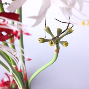 26 pouces Nouveau design fleurs artificielles <span class=keywords><strong>higanbana</strong></span> fleurs de lys araignées décoratives - Product Image 6