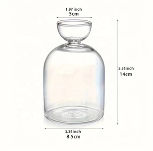 Jarrones de Vidrio con Forma de Árbol de <span class=keywords><strong>Aguacate</strong></span>, Kit de Cultivo de Árbol de <span class=keywords><strong>Aguacate</strong></span>, <span class=keywords><strong>Maceta</strong></span>, Bulbo de Vidrio para Plantas, Decoración de Interiores para Mesa de Hogar y Escritorio - Product Image 5