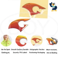 Étiquettes de vêtement personnalisées, patchs en TPU souple avec transfert de chaleur, Logo, pour vêtements de Sport, vente en gros