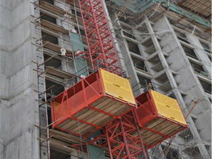 Paranco da costruzione a doppia gabbia cinese <span class=keywords><strong>SS100</strong></span> a prezzo ragionevole - Product Image 4