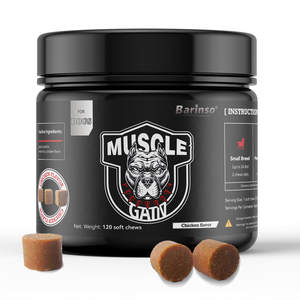 Supplément pour chien <span class=keywords><strong>Bully</strong></span> Joint Msm Glucosamine, isolat de lactosérum Animal en poudre de protéines - Product Image 5