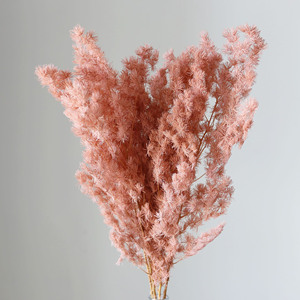 Décorations de mariage bohèmes florales, fleurs séchées blanches de gypsophile, bouquet de fleurs séchées naturelles, plantes à vendre - Product Image 6