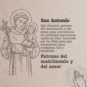 Saint Anthony acciaio inossidabile bella collana pendente vergine icona cattolica per gli uomini e le donne - Product Image 3