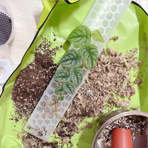 Poteau en plastique empilable pour plantes grimpantes, bâtons de soutien pour Monstera, Pothos, blanc/noir, 29,8 cm/35 cm/40 cm/58 cm - Product Image 6