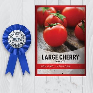 Sachet de Légumes Tomate Cerise Rouge Grosse Variété Ancienne Non-OGM pour <span class=keywords><strong>Potager</strong></span> Domestique Idéal pour la Culture en Pleine Terre Excellent Cadeau de Jardinage - Product Image 1