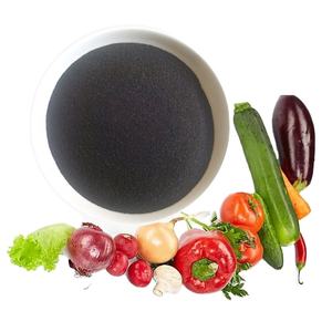 Hızlı teslimat hümik asit potasyum tuzları potasyum humat hümik asit 60% K2O 10% toprak PH değerini düzenler ürün büyümesini teşvik eder - Product Image 6