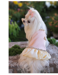 Vêtements pour animaux de compagnie design haut de gamme printemps/été jupe licou pour chien maltais avec vêtements pour chien perle diamant - Product Image 2
