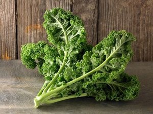 Best Price Springjia's Organic <strong>Kale</strong> <strong>Powder</strong> 99% Food Grade Herbal Extract Fruit Part Used Halal Certified Vacuum Packed Bottle - Product Image 2