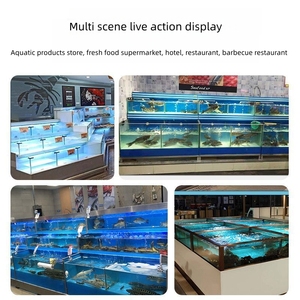 Tanque de Mariscos Tipo Plataforma de Una Sola Capa, Estanque Comercial <span class=keywords><strong>para</strong></span> Camarones y Langostinos Vivos - Product Image 4