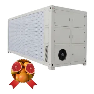 Customer-made One-made soluzione congelatore contenitore compressore isolamento cella frigorifera per cibo carne di pesce