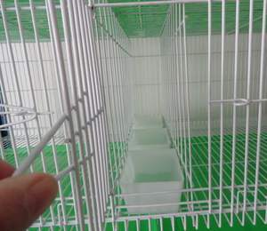 Loft iyi tasarım güvercin gösterisi kafes tayvan kafes - Product Image 3