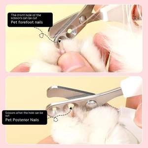 थोक स्टेनलेस स्टील सुरक्षा नाखून क्लिपर्स पहने नाखून ट्राइमर सर्वश्रेष्ठ बिल्ली और छोटे कुत्ते पालतू जानवर नाखून क्लिपर और ट्रिमर - Product Image 2