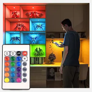 Juego completo de luces Led Puck con Control remoto para pared, pantalla FPC regulable de Color RGB, escaparate de joyería, cambio de Color