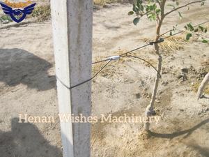 TWT80*100*8 프리스트레스 콘크리트 파일 성형기 과일나무 지지용 파일 - Product Image 5