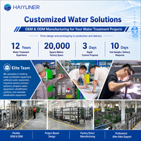 Équipement de Traitement d'Eau Potable pour Petite Usine Machine de Production d'Eau Minérale avec Filtration par Osmose Inverse RO