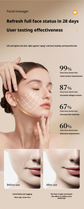 Roller Facial Massager Portable Multifunctional Promoting Face Absorption Relaxing Lifting Facial Massager Beauty Skincare <b>Tools</b> - Product Image 2