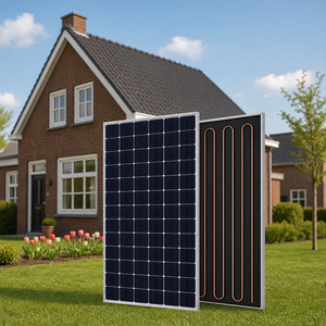 Collecteur solaire PVT 600W à 22,2 % d'efficacité pour l'électricité et le séchage - Vente en gros - Product Image 2