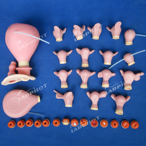 Mannequin d'entraînement complet pour examen gynécologique avec divers modèles de col de l'utérus et d'utérus - Product Image 3