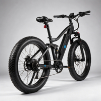 Vélo cargo électrique personnalisé AM200 avec pneus de 26 pouces, chargeur 2A, vélo de route électrique, vélo de montagne électrique à 9 vitesses