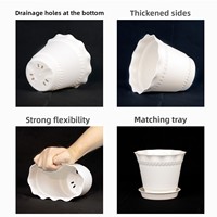 Nouveaux pots à fleurs pour plantes succulentes à bords festonnés - Jardinières en plastique robustes, durables et résistantes à la corrosion pour une utilisation sur bureau et au sol