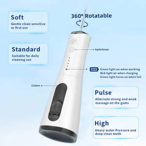 Hydropulseur Dentaire Professionnel Siillk Jet Dentaire Portable et Rechargeable par USB 300ml Étanche IPX7 Irrigateur Oral - Product Image 2