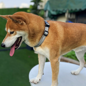 Dog <b>Collar</b> Adjustable Flax Material Medium Size Simple Style Solid Color <b>Pet</b> Accessory for Shiba Inu and Medium Dogs - Product Image 2